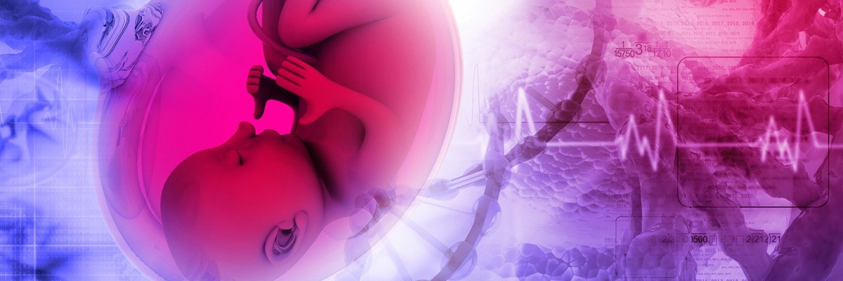 prenatal paternities