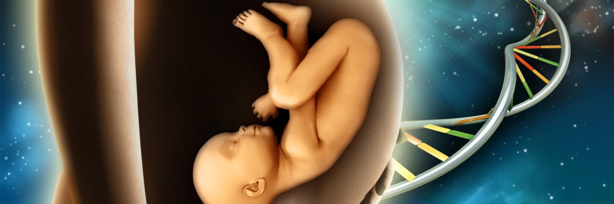 prenatal paternities