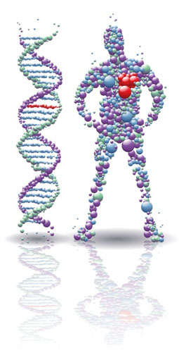 Genome